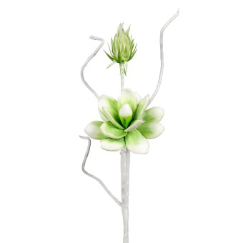 Blütenzweig weiß-grün 