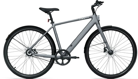 Elektro-Citybike E-Urban CGO600PRO l, silber 50cm