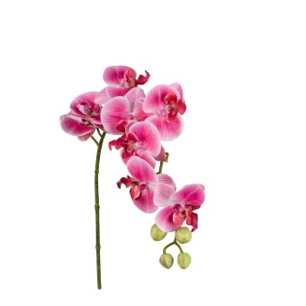 formano Orchideenzweig 80 cm Lila 
