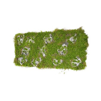 HTI-Living Moosmatte 100 x 30 cm Kunstpflanze Flora 