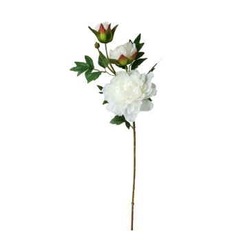 HTI-Living Pfingstrose Weiß 74 cm Kunstblume Flora 