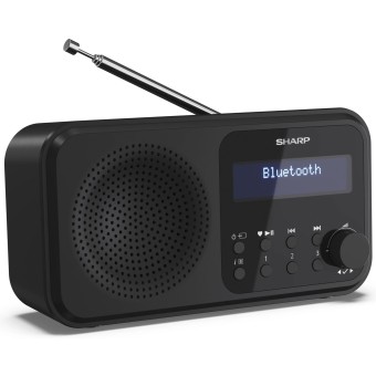 Sharp Radio DR-P420(BK) schwarz 