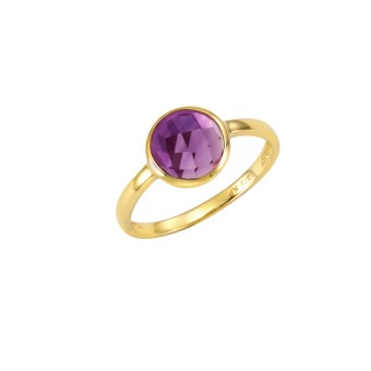 Celesta Gold Ring 375 Gold mit Amethyst 054 (17,2)