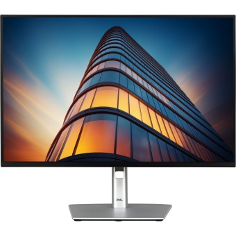 Dell TFT-Monitor P2425H 