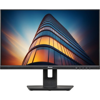 Iiyama TFT-Monitor ProLite XUB2493HS-B6 